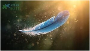 spiritual significance of blue jay feathers spiritual significance of blue jay feathers