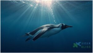 streamlined bodies for swimming streamlined bodies for swimming