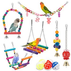 Swing Hanging Standing Chewing Toy B08RXV363J