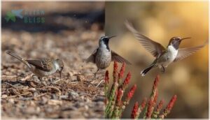 tips for identifying birds by behavior tips for identifying birds by behavior