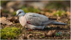 visible wounds, fractures, and wing injuries visible wounds, fractures, and wing injuries