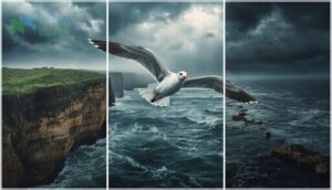 what threats impact seagull migration what threats impact seagull migration