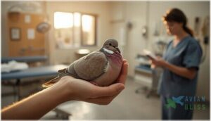 when and how to seek professional help when and how to seek professional help