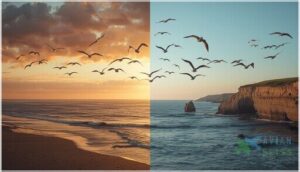 when do seagulls migrate when do seagulls migrate