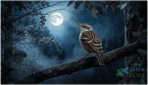 whip-poor-will whip-poor-will