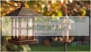 why birds are not coming to my feeder why birds are not coming to my feeder
