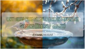 why birds need fresh water in different seasons