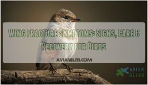 wing fracture symptoms