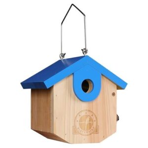 Wren Bird Houses for Outside B0D4QCDDF7