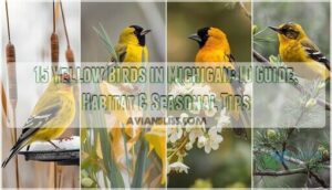 yellow birds in michigan yellow birds in michigan