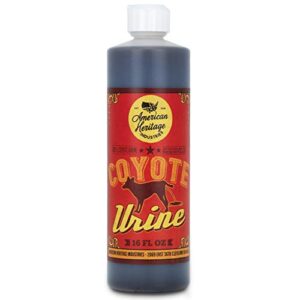 16 oz Coyote Urine Protect B086TTVMFV