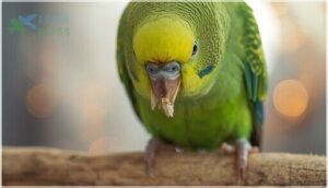 abnormal beak or claw appearance abnormal beak or claw appearance