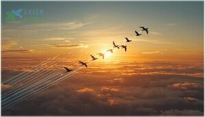 aerodynamic advantages and upwash aerodynamic advantages and upwash