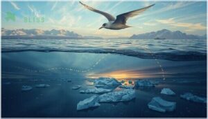 annual migration route and distance annual migration route and distance