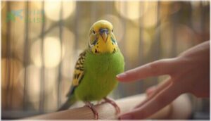 attention-seeking and bonding attention-seeking and bonding