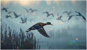 avian influenza (bird flu) avian influenza (bird flu)