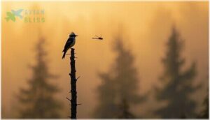 behavior and feeding habits behavior and feeding habits