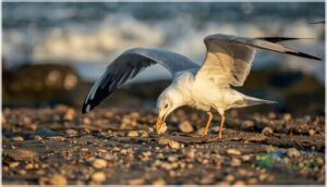 behavior and feeding habits behavior and feeding habits