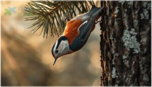 behavior, vocalizations, and conservation behavior, vocalizations, and conservation