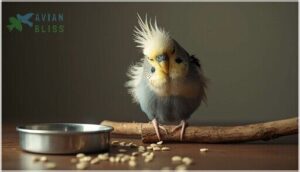 behavioral and physical changes behavioral and physical changes