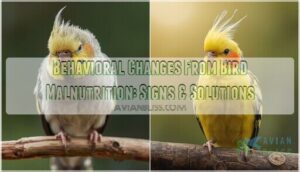 behavioral changes from bird malnutrition behavioral changes from bird malnutrition
