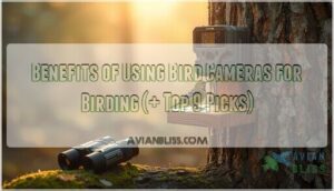 benefits of using bird cameras for birding