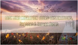 best bird migration tours best bird migration tours