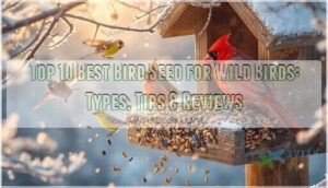 best bird seed for wild birds best bird seed for wild birds