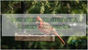 best cardinal bird feeders best cardinal bird feeders