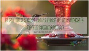 best hummingbird feeder best hummingbird feeder