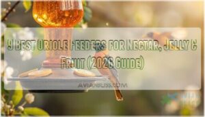 best oriole feeders best oriole feeders