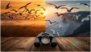 best seasons and locations for bird migration best seasons and locations for bird migration