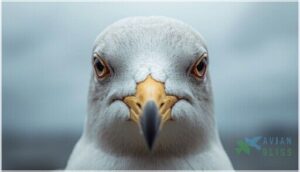 bill, legs, and eye features bill, legs, and eye features