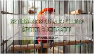 bird cages for large parrots bird cages for large parrots