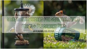 bird feeders for squirrel prone areas bird feeders for squirrel prone areas
