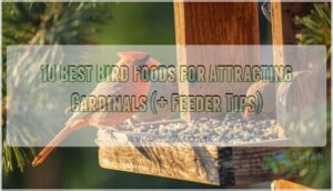 bird food for attracting cardinals
