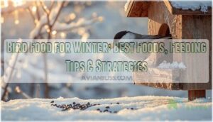 bird food for winter bird food for winter