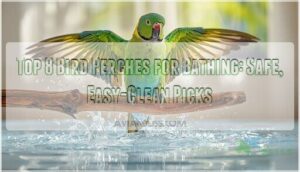 bird perches for bathing bird perches for bathing