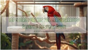 bird perches for large parrots bird perches for large parrots