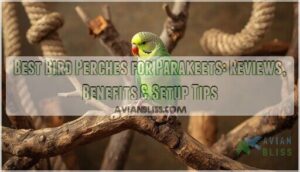 bird perches for parakeets bird perches for parakeets