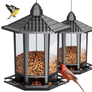 Birdream 2 Pack Bird Feeders B0CSCVT7SZ