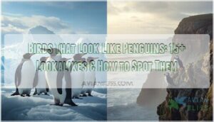 birds that look like penguins birds that look like penguins