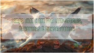 birds that mate for life birds that mate for life