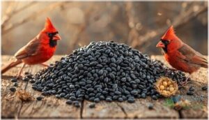 black oil sunflower seeds black oil sunflower seeds