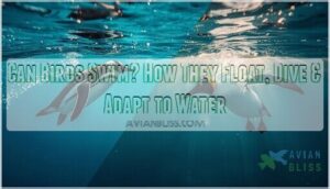 can birds swim can birds swim