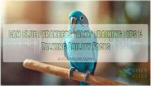can blue parakeets talk can blue parakeets talk