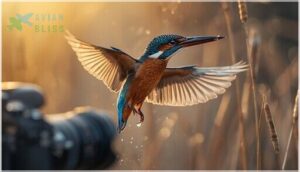 capturing birds in action or flight capturing birds in action or flight