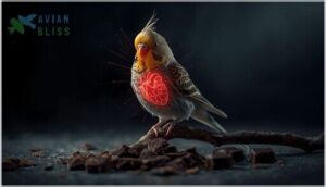 cardiovascular effects (arrhythmias, high blood pressure) cardiovascular effects (arrhythmias, high blood pressure)