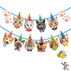 Cat Birthday Banner No B07XFN39CQ