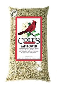 Cole's SA10 Safflower Bird Seed, B004DEBJBS
